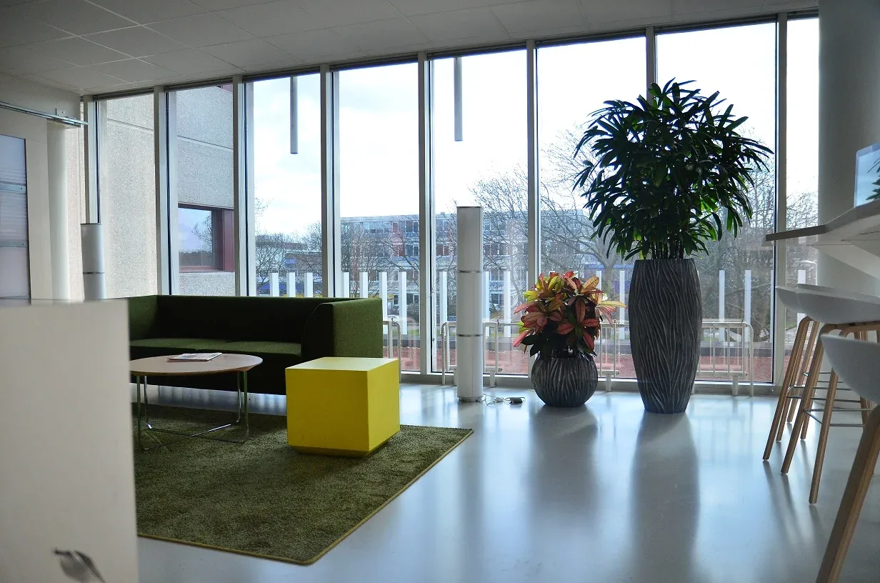 Comforpur 635 Betonlook gietvloer in een kantoorlounge met glazen gevel, groene bank en grote planten