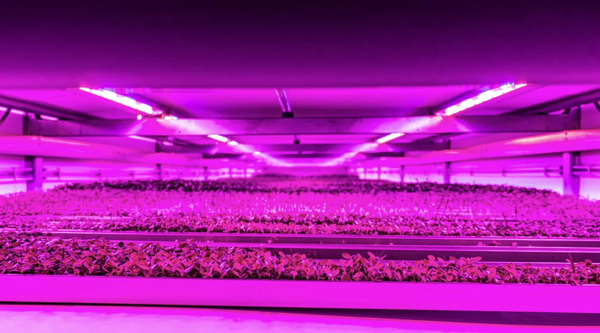 Vloeren in de verticale kwekerij van Growy in Amsterdam: Ucrete BC4, Comforpox 870 HB Coating en Comforpur 660 Uni, detail 6