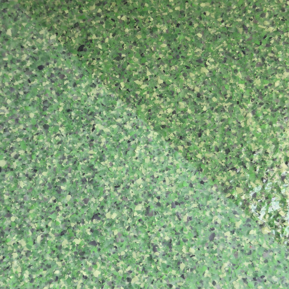 Kleur Cactus Green