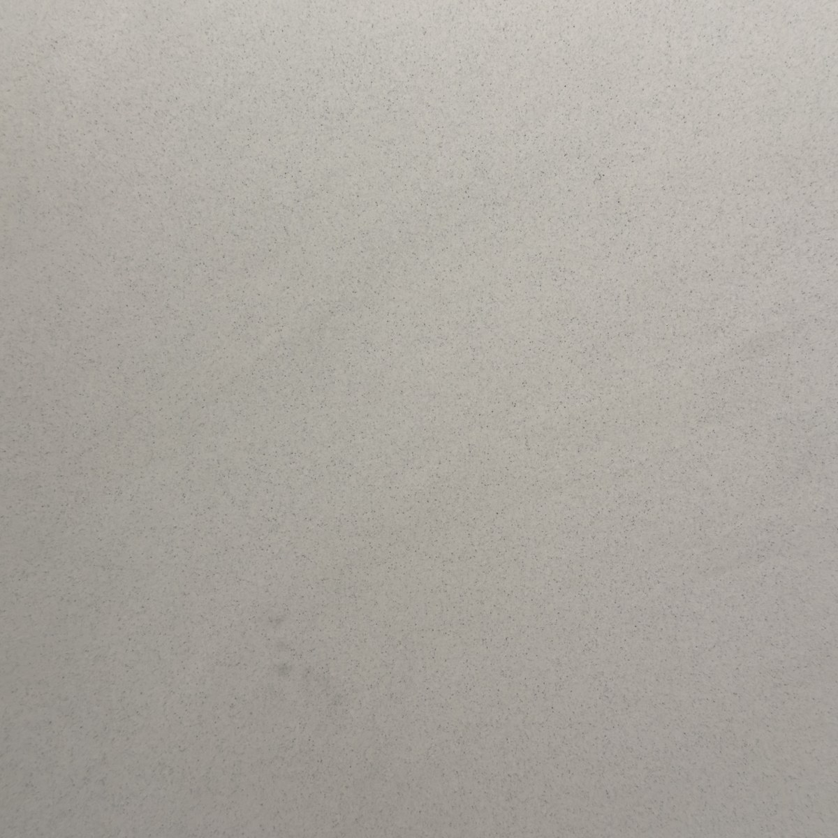 Kleur Ivory