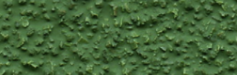 Kleur BC Green DP20