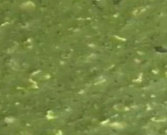 TF Green, PU CEM kleur op de vloer