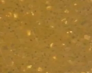 TF Yellow, PU CEM kleur op de vloer