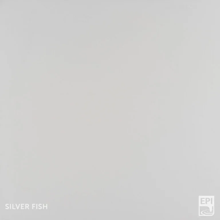 Silver-Fish, Superbase Classic Solid kleur op de vloer