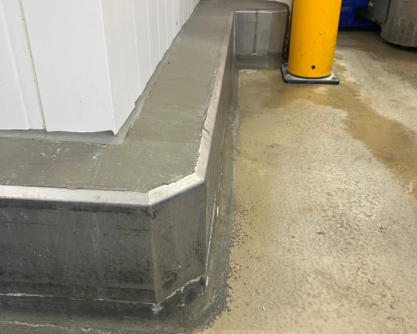 RVS Aanrijd-beveiliging Detail VP20